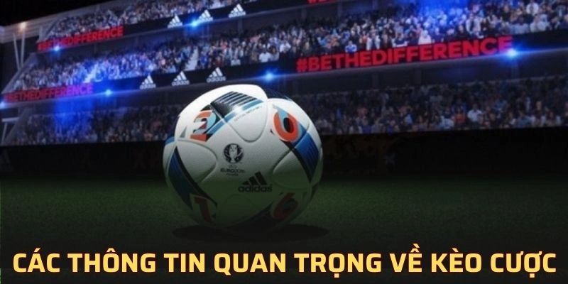 Các thông tin quan trọng về kèo cược hấp dẫn này